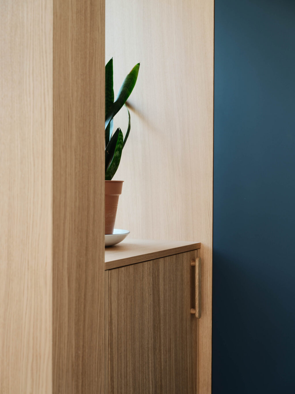 Bespoke oak display niche with integrated storage cabinet and decorative planting beside FENIX Blu Shaba cabinetry.