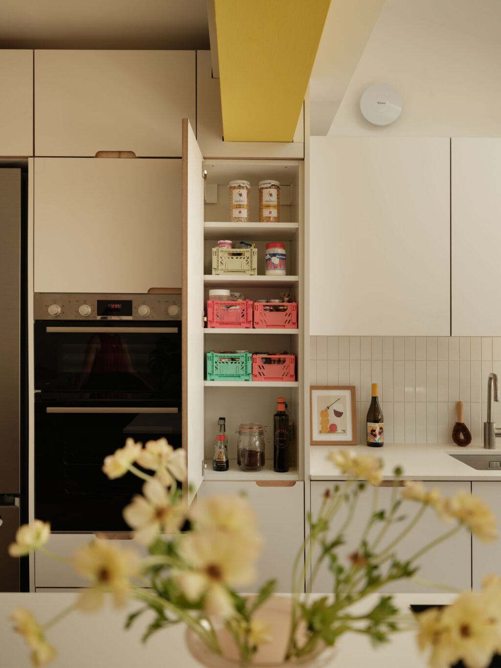 Tall pantry cupboard with internal shelving and organised food storage, finished in FENIX Bianco Male with exposed ply scallop handles.
