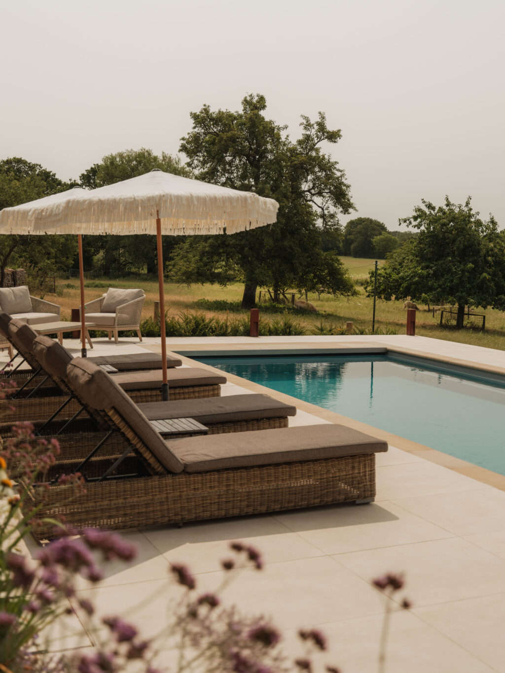 Swimming pool and terrace looking back towards the timber-clad home, with the HUSK kitchen visible through fully open bifold doors.