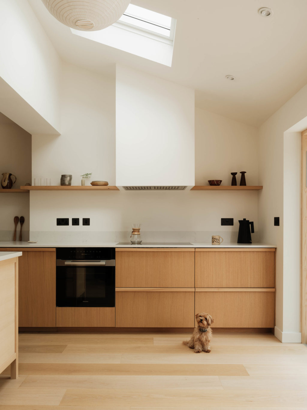Small dog sitting in The Beckington Kitchen in front of Natural Oak cabinetry, with the oven, hob and skylight visible beyond.